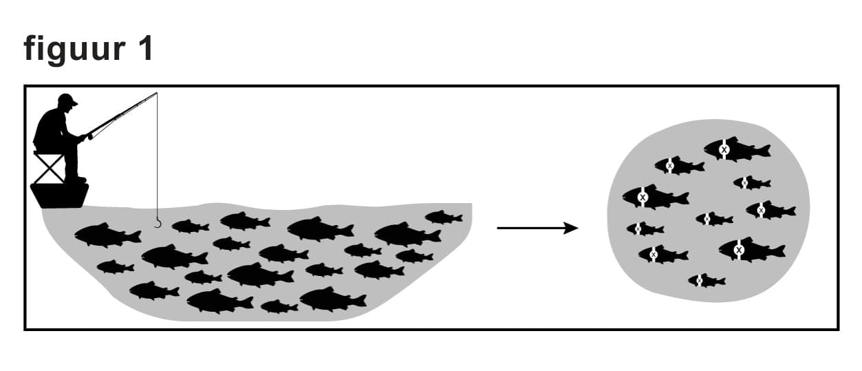 Figuur 1 bij vraag 7