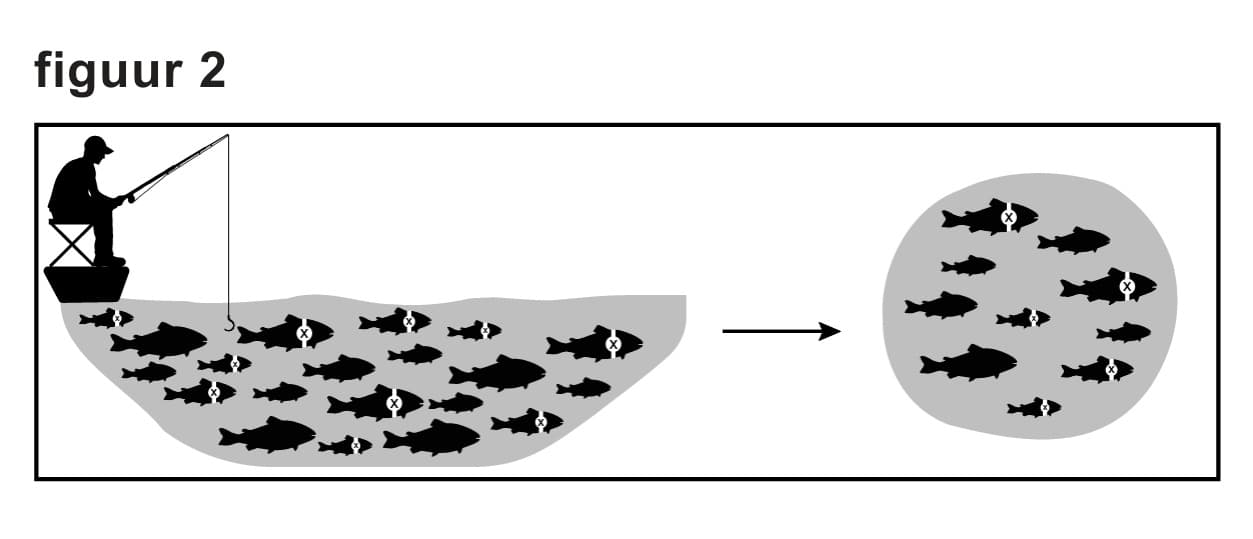 Figuur 2 bij vraag 7