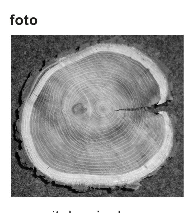 Figuur 1 bij vraag 12