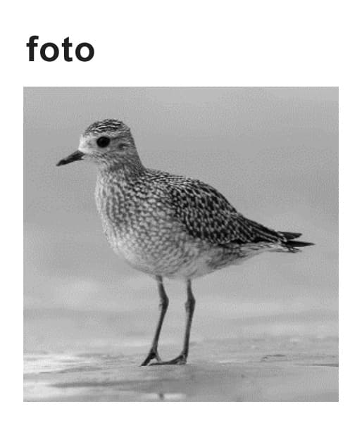 Figuur 1 bij vraag 5