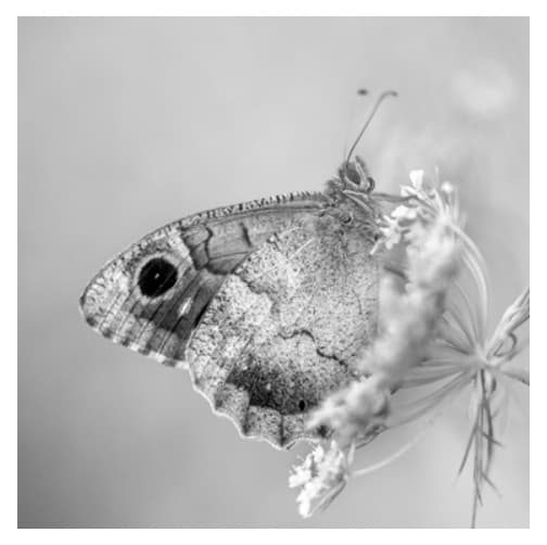 Figuur 1 bij vraag 17