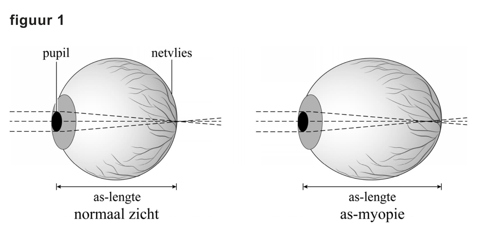 Figuur 1 bij vraag 20